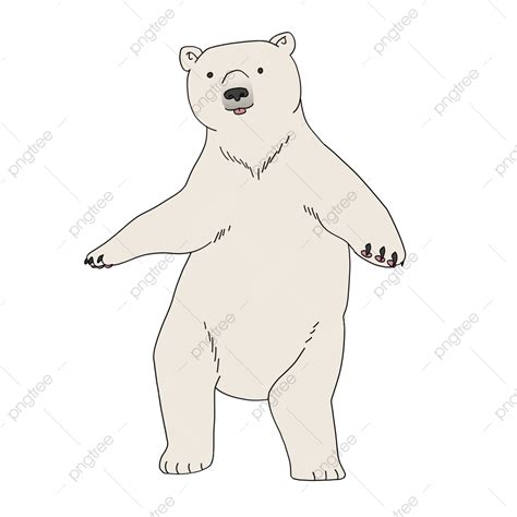 dancing bear hd|Free Dancing Bear Videos